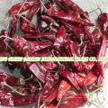 Chaotian Chilli